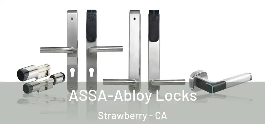  ASSA-Abloy Locks Strawberry - CA