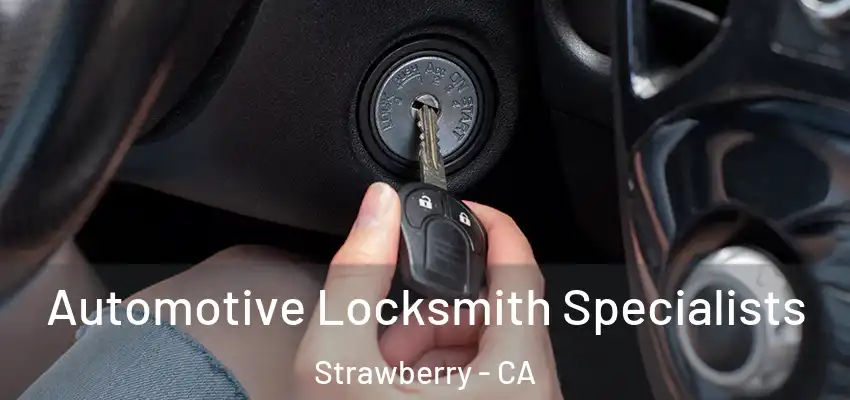  Automotive Locksmith Specialists Strawberry - CA