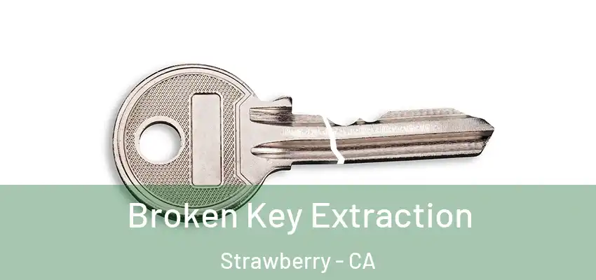 Broken Key Extraction Strawberry - CA