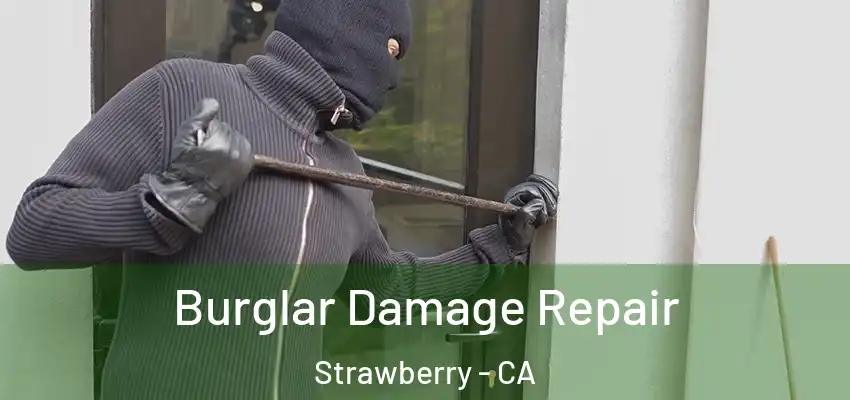  Burglar Damage Repair Strawberry - CA