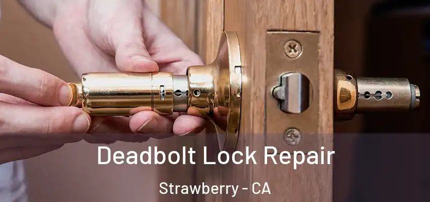  Deadbolt Lock Repair Strawberry - CA