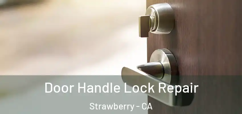  Door Handle Lock Repair Strawberry - CA