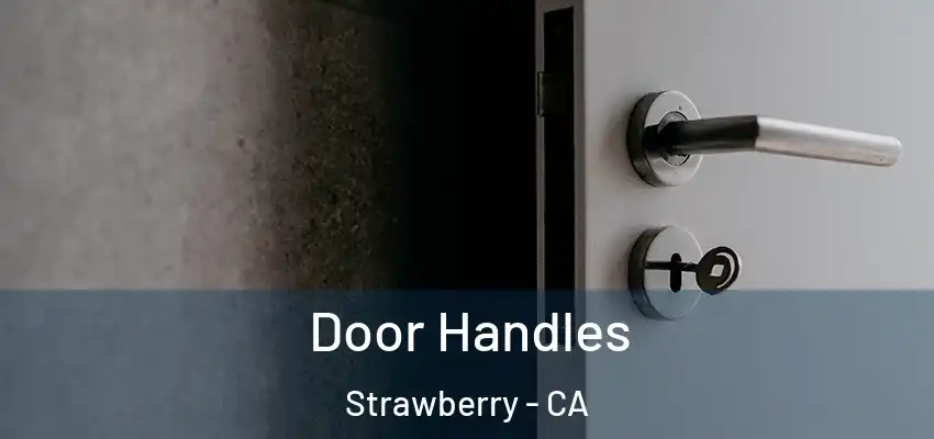  Door Handles Strawberry - CA