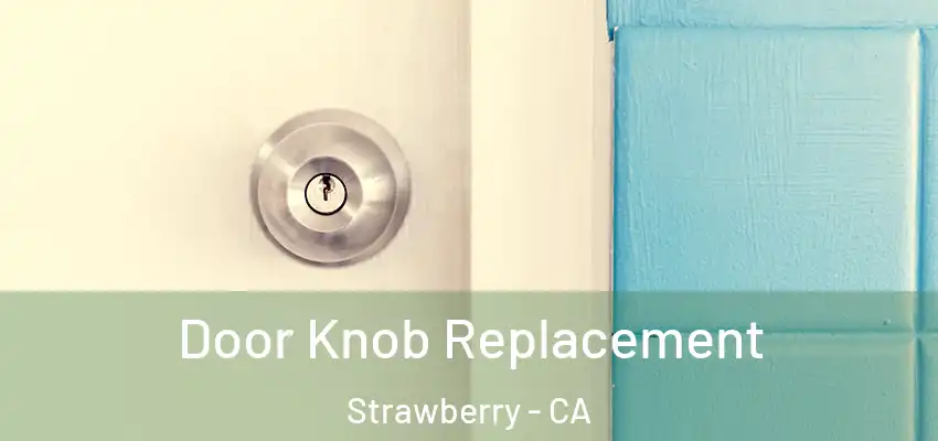  Door Knob Replacement Strawberry - CA