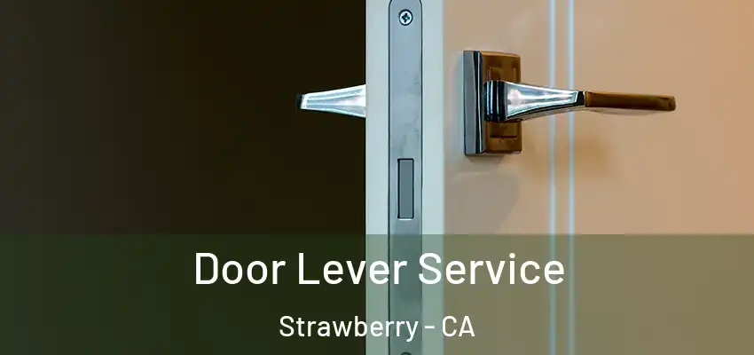  Door Lever Service Strawberry - CA