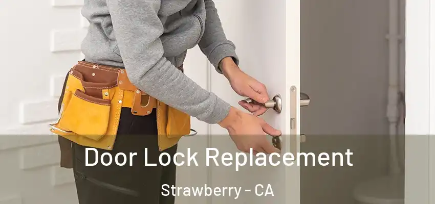  Door Lock Replacement Strawberry - CA