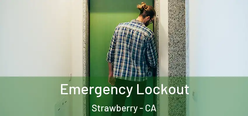  Emergency Lockout Strawberry - CA