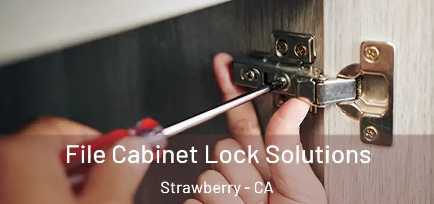  File Cabinet Lock Solutions Strawberry - CA