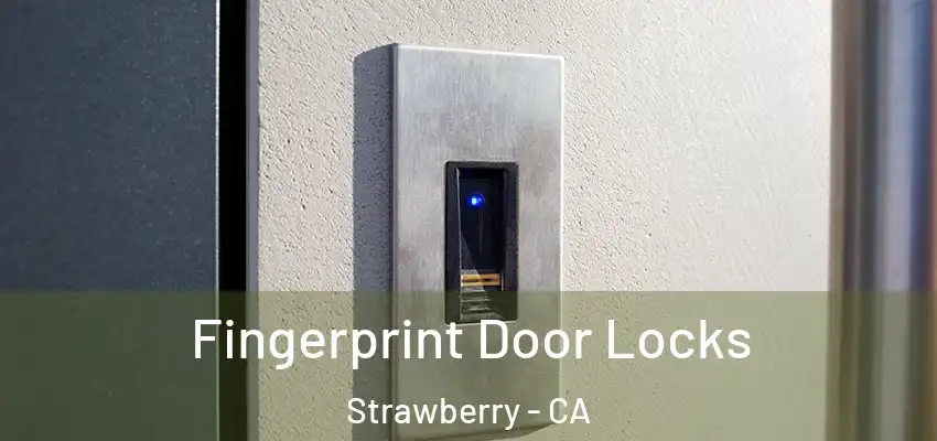 Fingerprint Door Locks Strawberry - CA