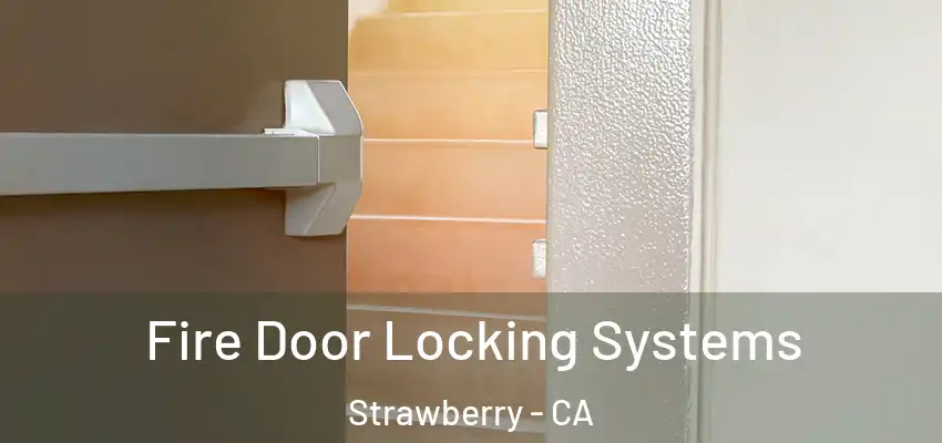  Fire Door Locking Systems Strawberry - CA