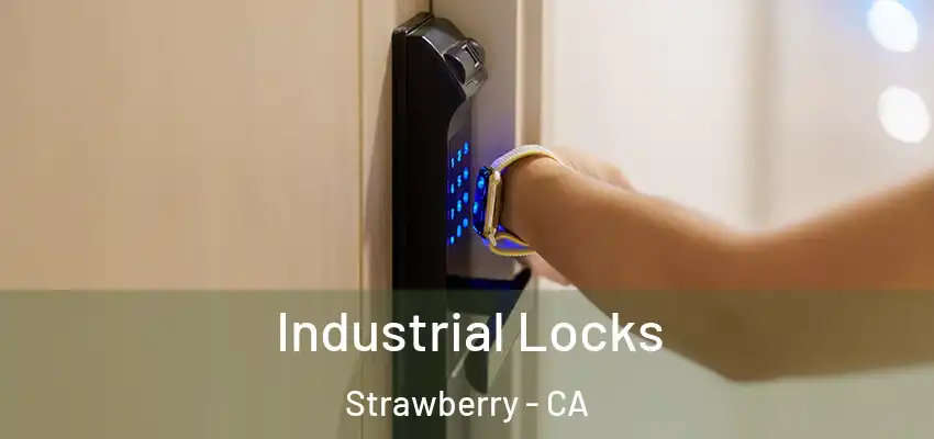  Industrial Locks Strawberry - CA