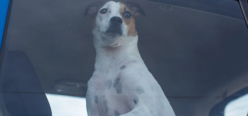 Car Lockout Solutions in Strawberry, California