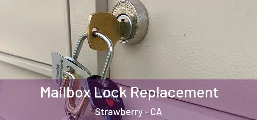  Mailbox Lock Replacement Strawberry - CA