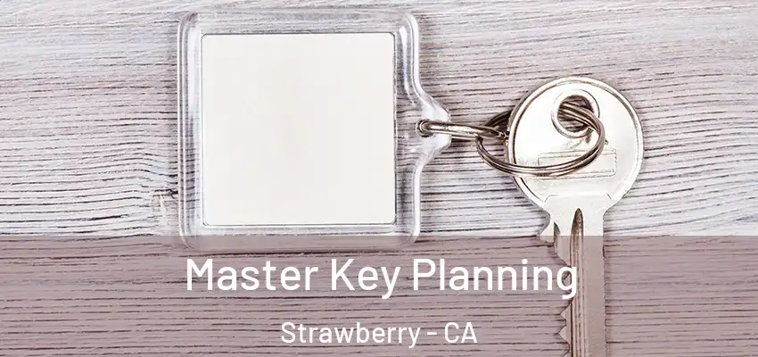  Master Key Planning Strawberry - CA