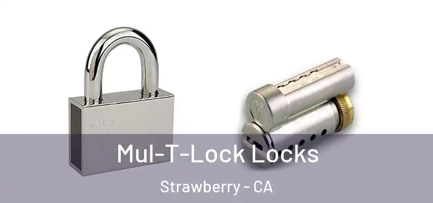  Mul-T-Lock Locks Strawberry - CA