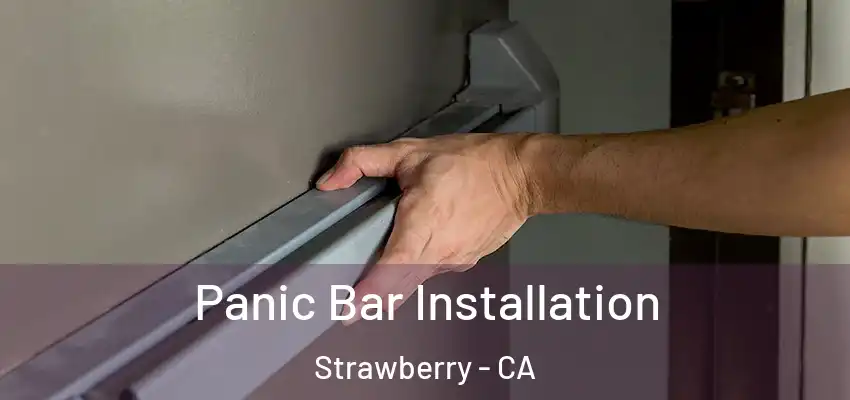  Panic Bar Installation Strawberry - CA