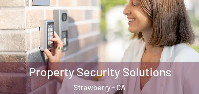  Property Security Solutions Strawberry - CA